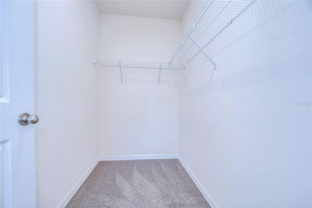 5460 WARRINGTON TOWN PATH, Wesley Chapel, FL 33545
