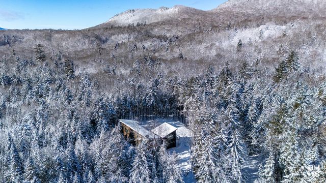 44 Lambs Way, Lake Placid, NY 12946