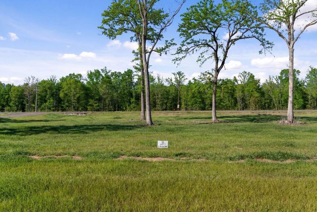 Lot 14 Island View Lane, Livingston, TX 77351