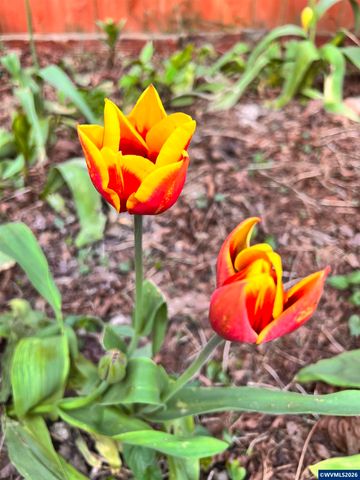 1254 Crystal Ln, Lafayette, OR 97127