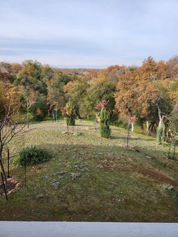 19640 Feather Falls Place, Cottonwood, CA 96022