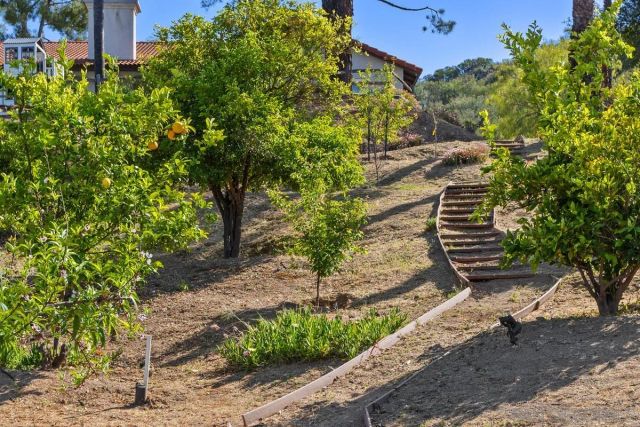 23969 Nectar Way, Ramona, CA 92065