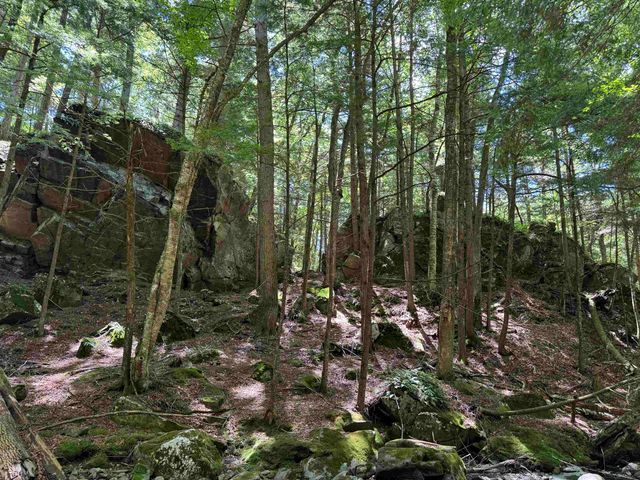 136 Village Road, Langdon, NH 03602