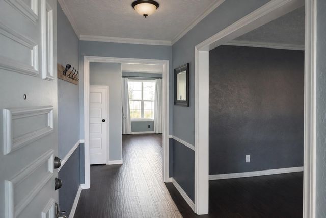 10923 Creektree Drive, Houston, TX 77070