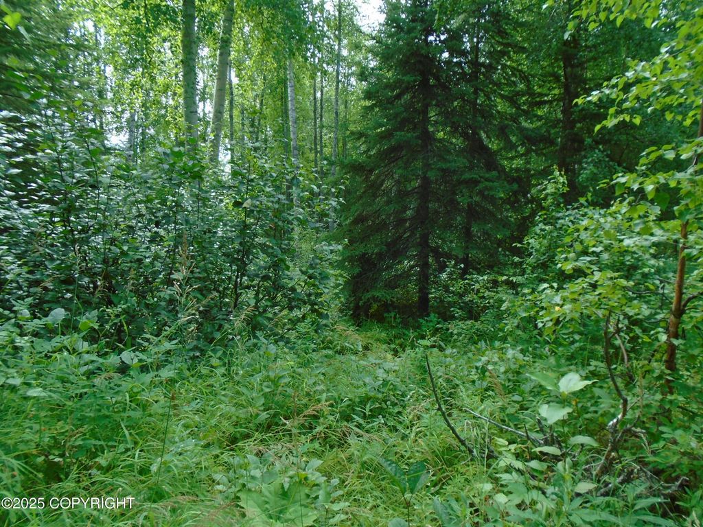 15032 W Necrason Drive, Big Lake, AK 99652