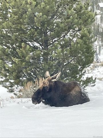 45 County Road 8751, Granby, CO 80446