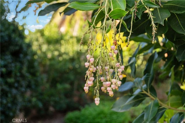 10811 Sunnybrae Avenue, Chatsworth, CA 91311