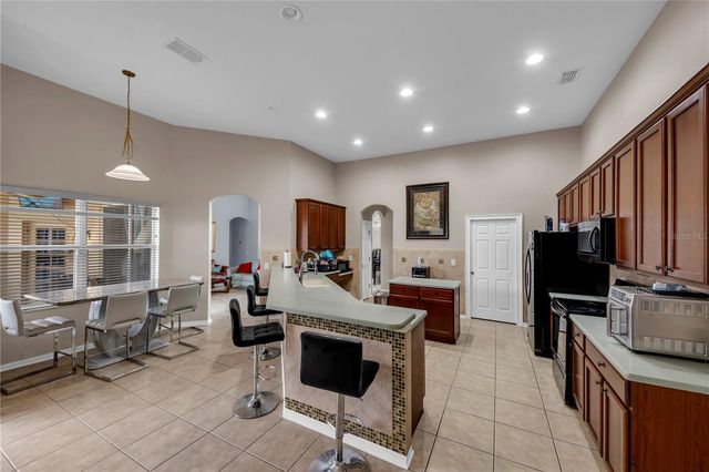 20330 NATURES CORNER DRIVE, Tampa, FL 33647