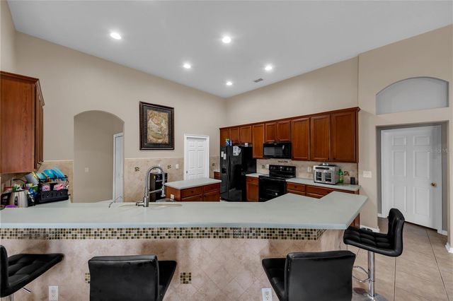 20330 NATURES CORNER DRIVE, Tampa, FL 33647