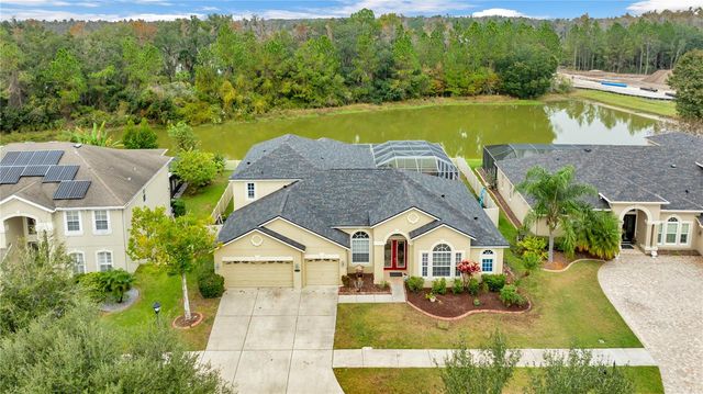 20330 NATURES CORNER DRIVE, Tampa, FL 33647