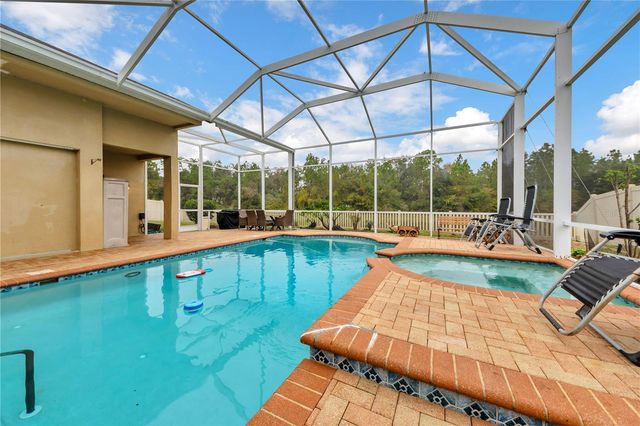 20330 NATURES CORNER DRIVE, Tampa, FL 33647