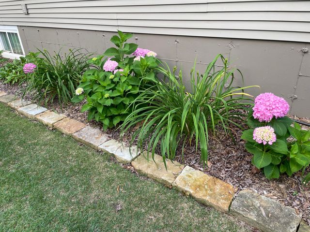 1319 E Monroe Street, Springfield, MO 65804