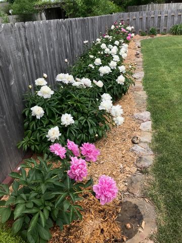 1319 E Monroe Street, Springfield, MO 65804