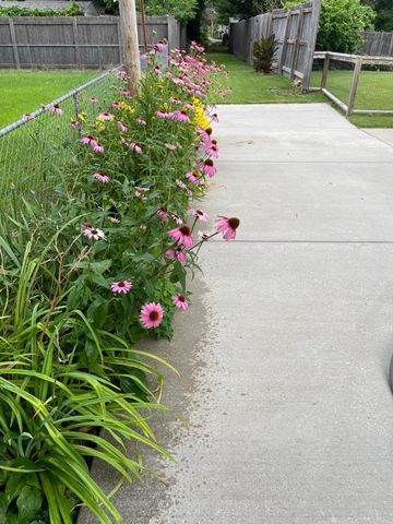 1319 E Monroe Street, Springfield, MO 65804