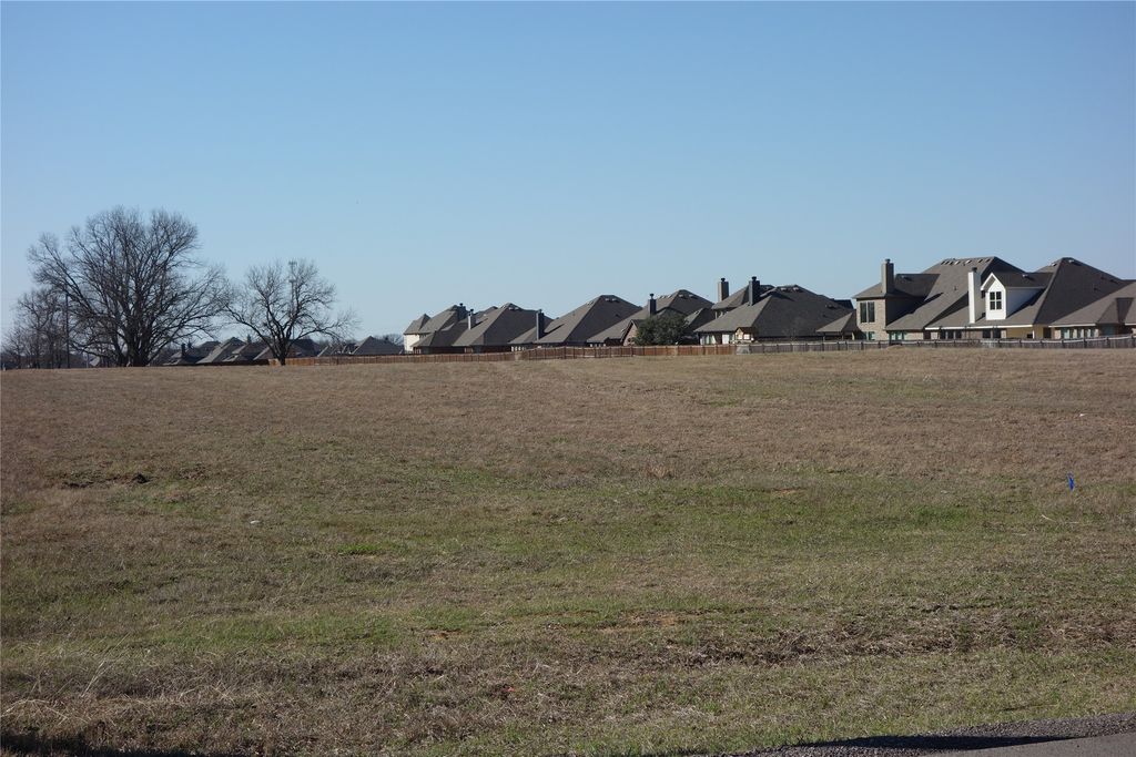 Lot 15 Moura Court, Joshua, TX 76058