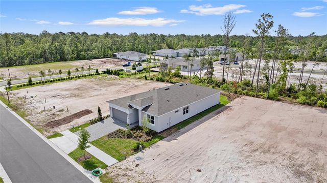 1293 TWIN FARMS COURT, Deland, FL 32724