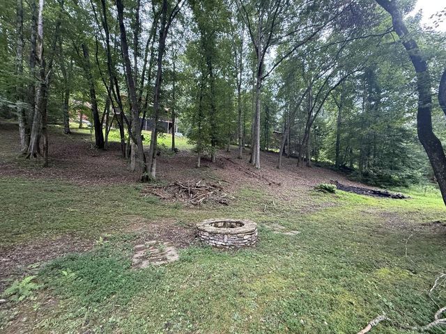 367 Sunrise Valley Road, Blue Ridge, GA 30513