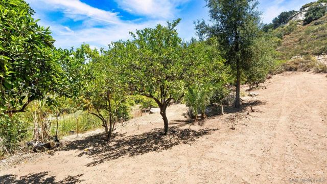 1485 Santa Fe Hills, Ramona, CA 92065
