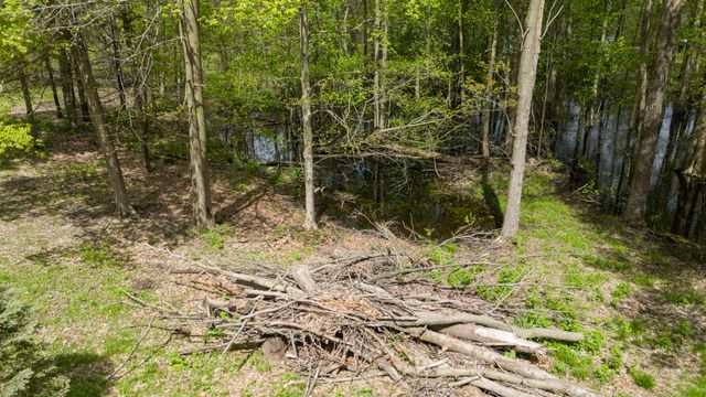38338 64th Avenue, Paw Paw Twp, MI 49079