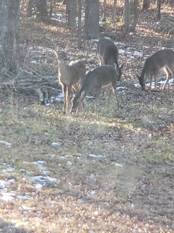 303 Garren Road, Belton, SC 29627