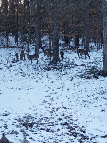 303 Garren Road, Belton, SC 29627