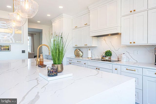 12105 SALT POINT RD, Bishopville, MD 21813