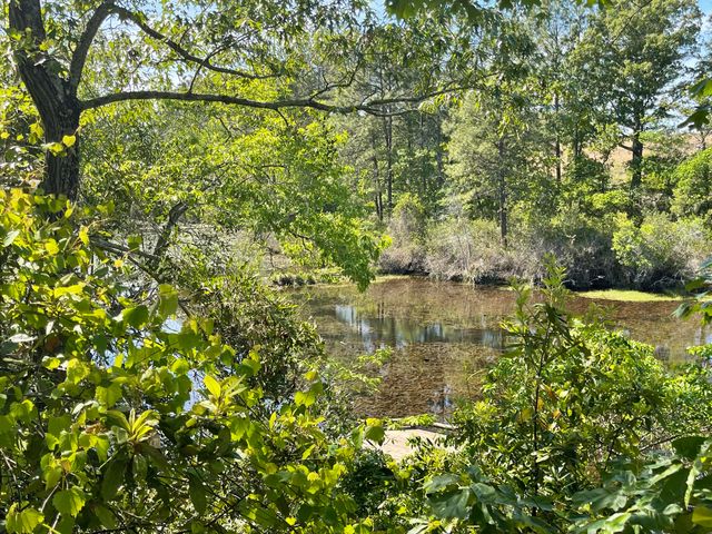 211 Elk Drive, Aiken, SC 29805