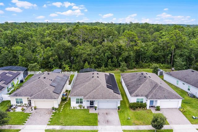 3525 DAVENPORT CREEK COURT, Kissimmee, FL 34746