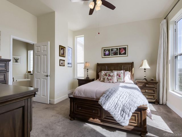 10270 Amethyst Way, Parker, CO 80134