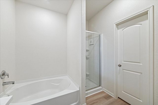 25033 Authors Drive, Magnolia, TX 77355