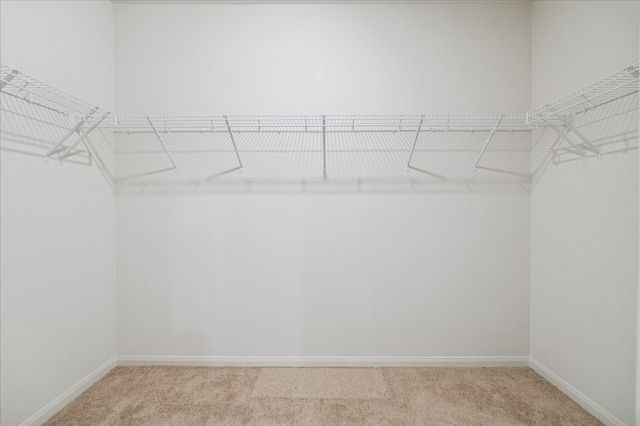 25033 Authors Drive, Magnolia, TX 77355