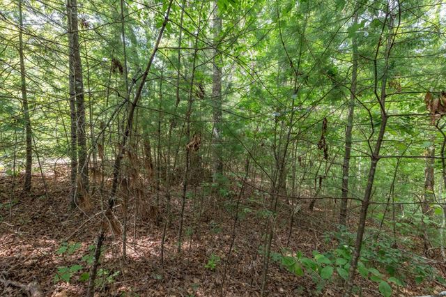 Lot 18 The Ridges Of Carolina, Murphy, NC 28906