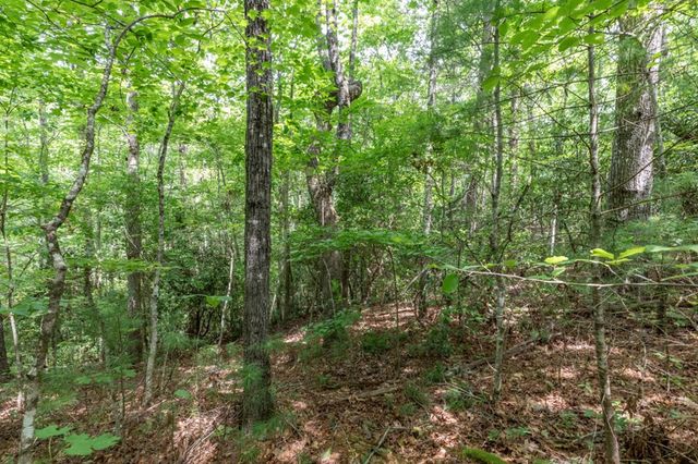 Lot 18 The Ridges Of Carolina, Murphy, NC 28906