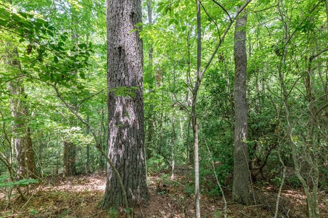 Lot 18 The Ridges Of Carolina, Murphy, NC 28906