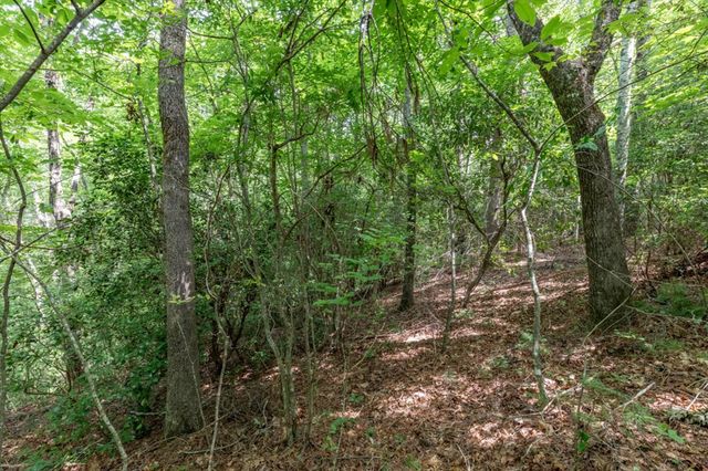 Lot 18 The Ridges Of Carolina, Murphy, NC 28906