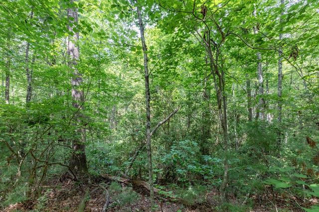 Lot 18 The Ridges Of Carolina, Murphy, NC 28906