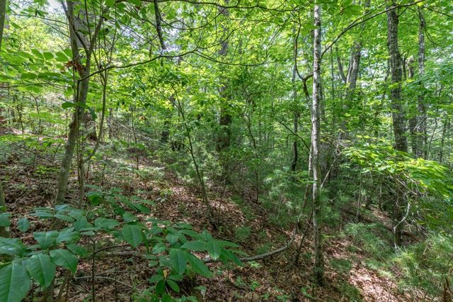 Lot 18 The Ridges Of Carolina, Murphy, NC 28906