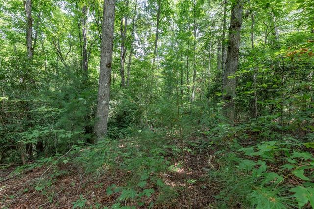 Lot 18 The Ridges Of Carolina, Murphy, NC 28906