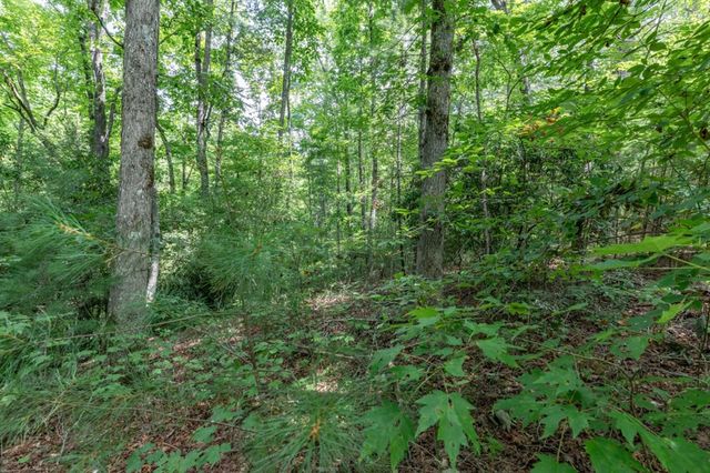 Lot 18 The Ridges Of Carolina, Murphy, NC 28906