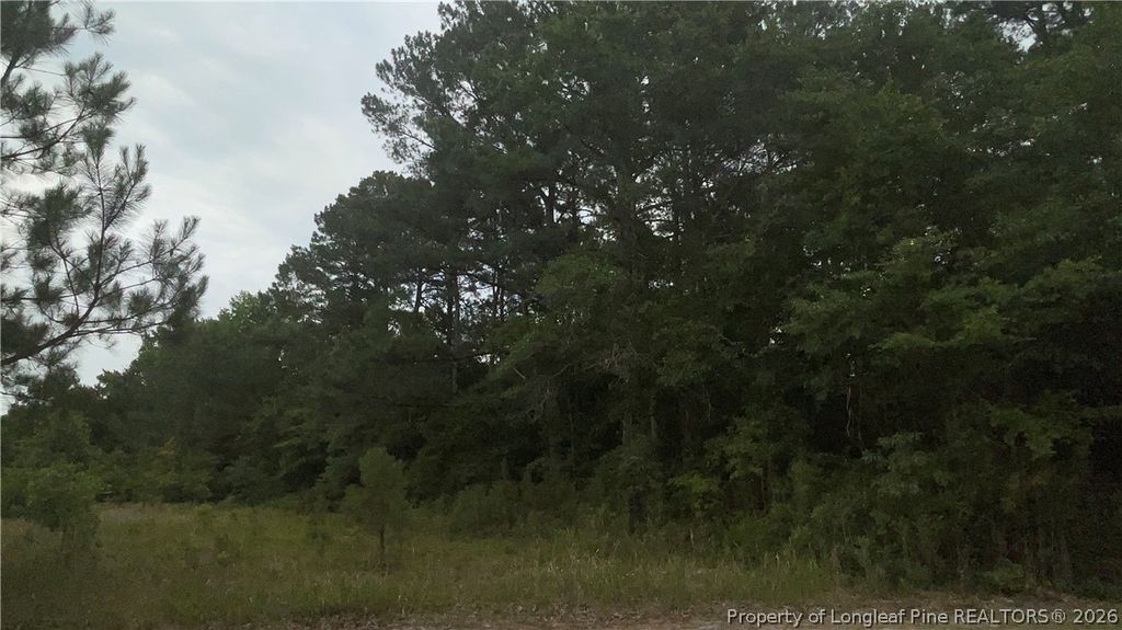 Sanderosa (0477-78-9254) Road, Fayetteville, NC 28312 — exterior
