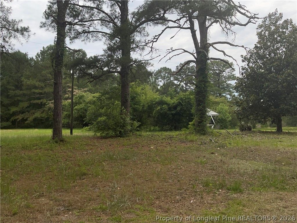 Sanderosa (0477-78-9254) Road, Fayetteville, NC 28312 — photo 2