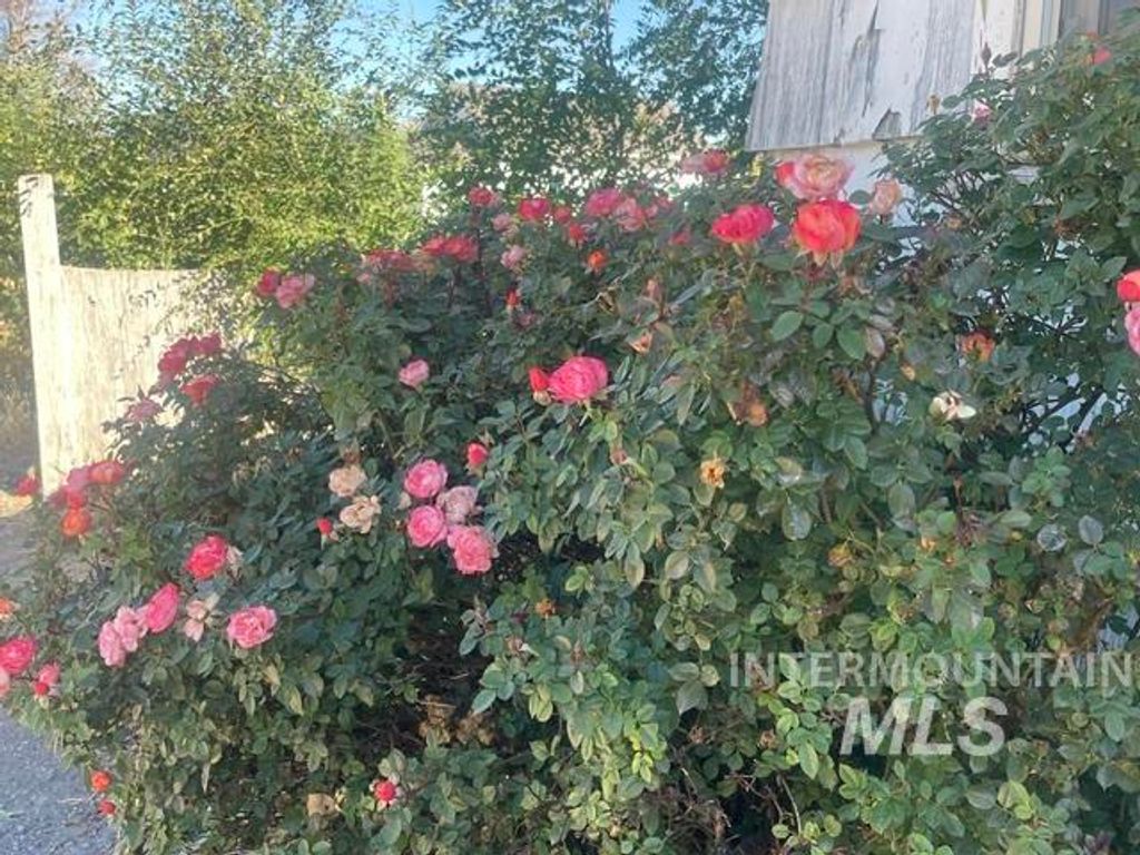 522 E 16th Street, Burley, ID 83318 photo 5