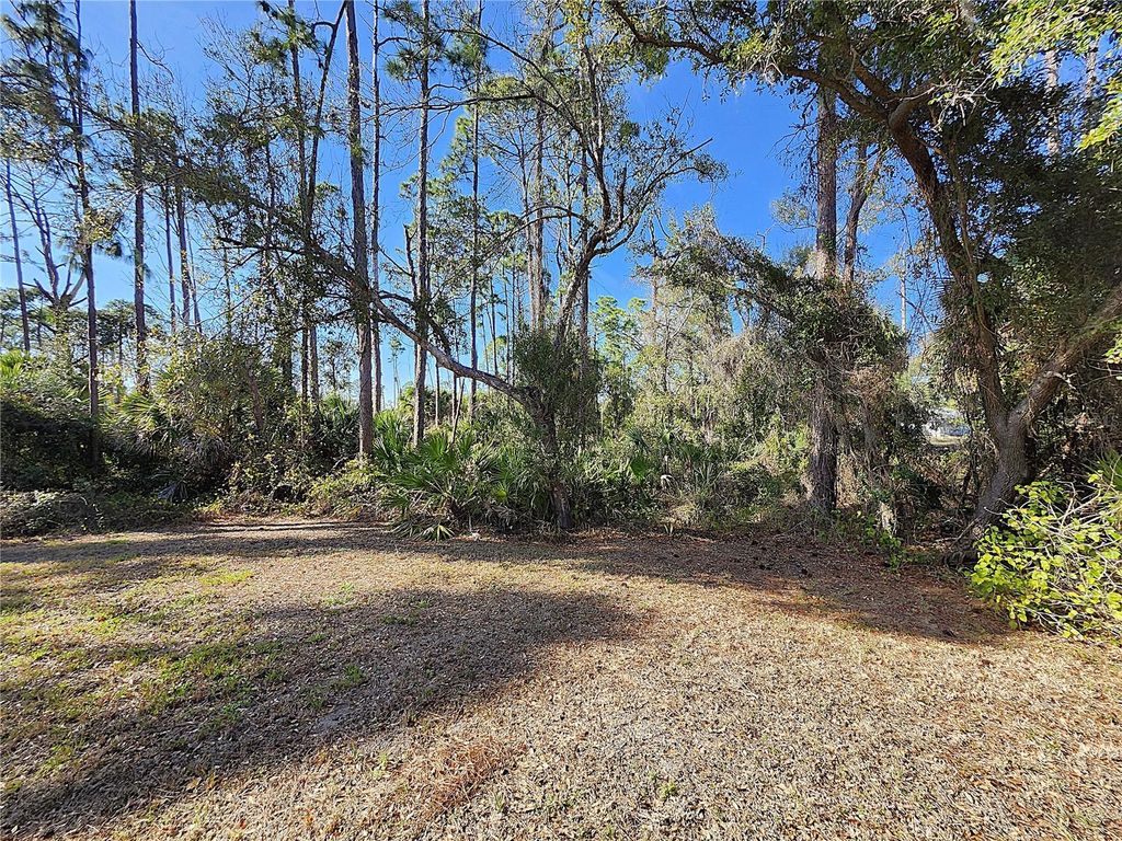 Image 64 of property listing at 3161 DAPHNE ROAD, North Port, FL 34288