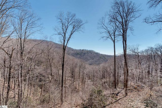 1338 Panther Park Trail, Travelers Rest, SC 29690