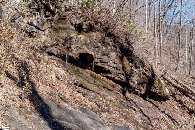 1338 Panther Park Trail, Travelers Rest, SC 29690