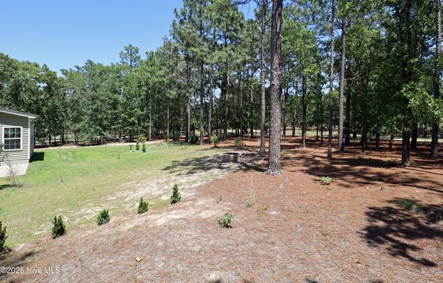 39 Forest Lake Drive, Jackson Springs, NC 27281