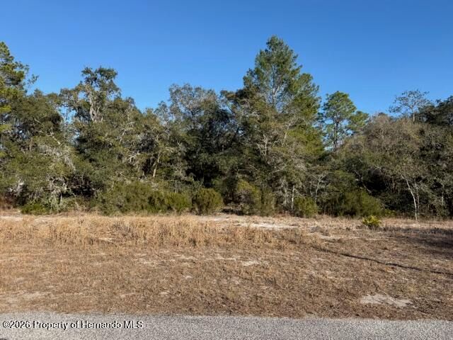 9630 Wilderness Trail, Spring Hill, FL 34613