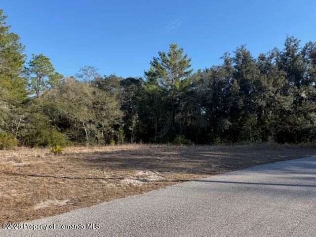 9630 Wilderness Trail, Spring Hill, FL 34613