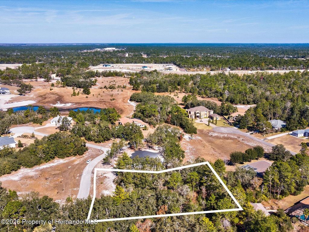 9630 Wilderness Trail, Spring Hill, FL 34613