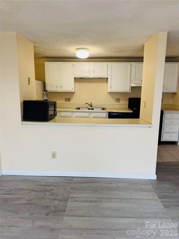 9541 Shannon Green Drive, Charlotte, NC 28213